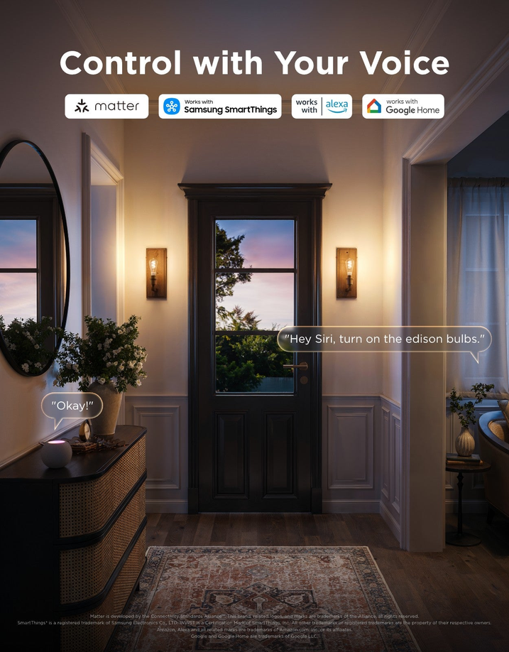 Govee Smart Edison Light Bulb E27